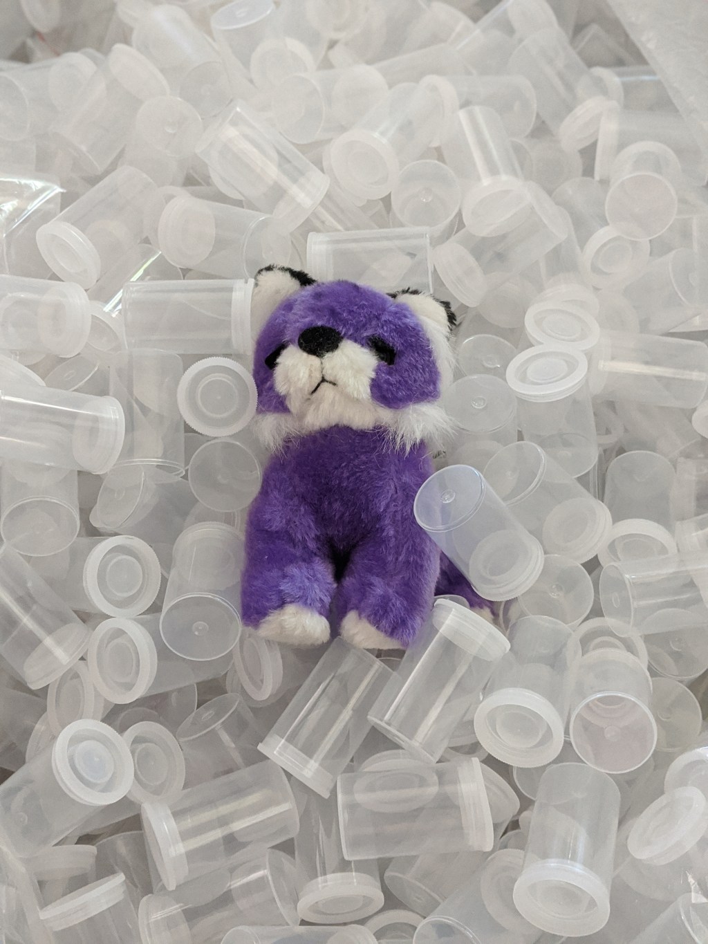 Grab-and-Go Science Make-up!